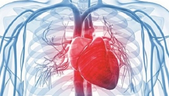 Những điều cần biết về siêu âm tim